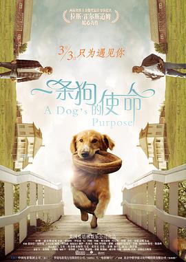 邪恶网站
