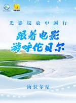 久久青青