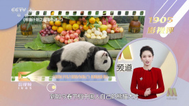 日韩矿转码专一2023